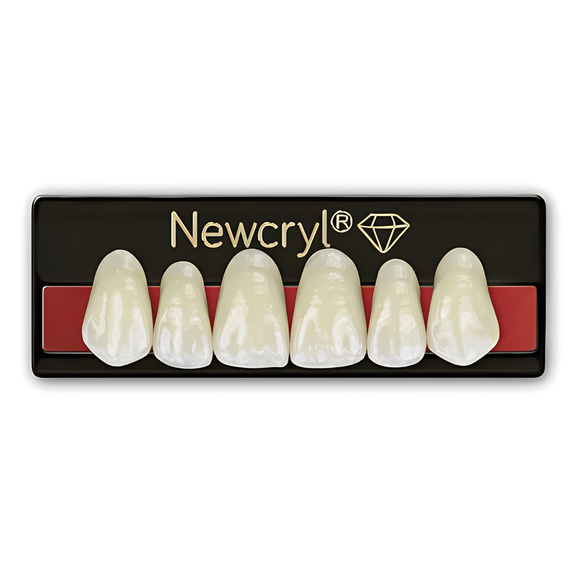 DIENTES NEWCRYL
